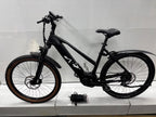 Raymon Mountainbike E-Bike