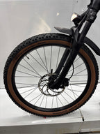 Raymon Mountainbike E-Bike