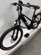 Raymon Mountainbike E-Bike