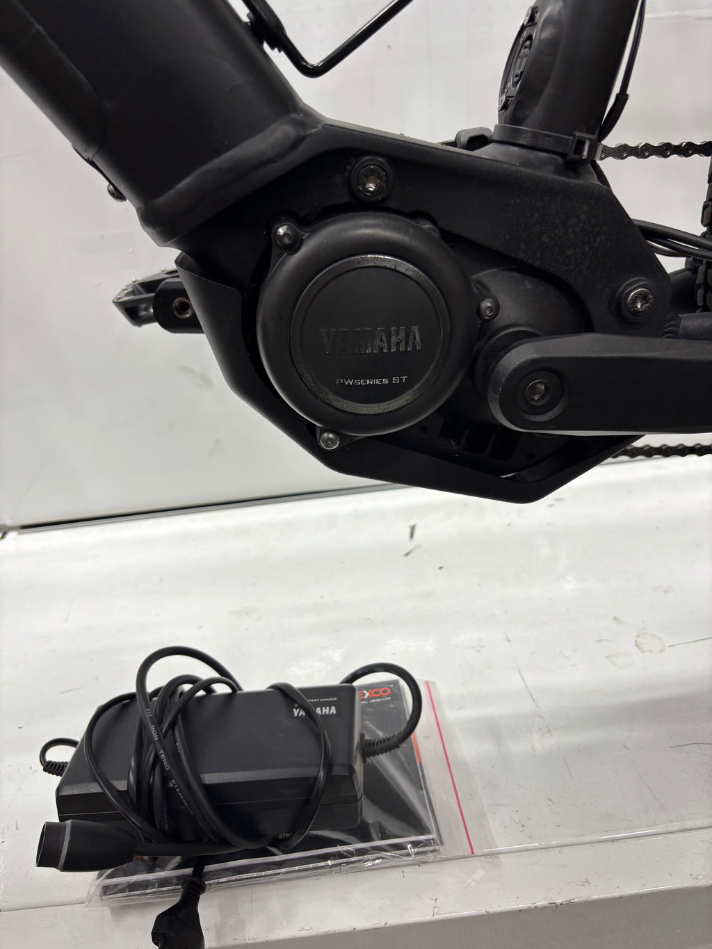 Raymon Mountainbike E-Bike