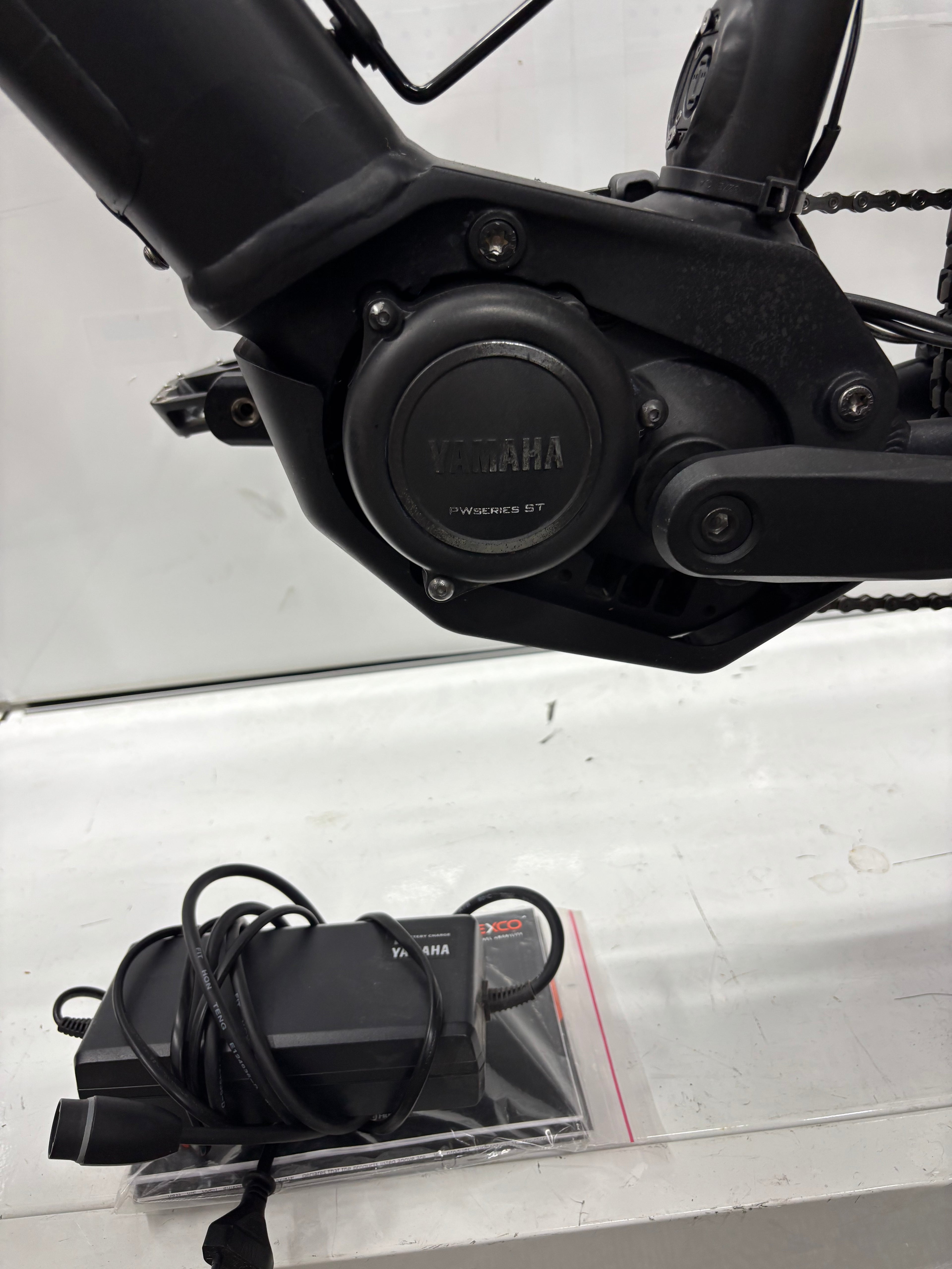 Raymon Mountainbike E-Bike
