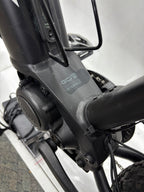Raymon Mountainbike E-Bike