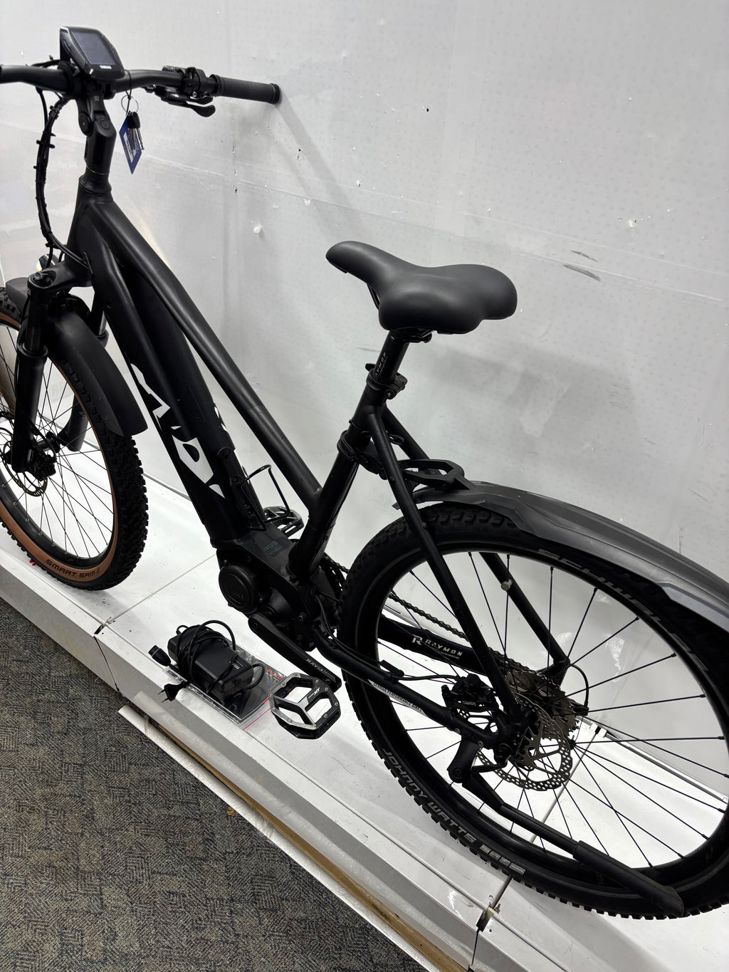 Raymon Mountainbike E-Bike