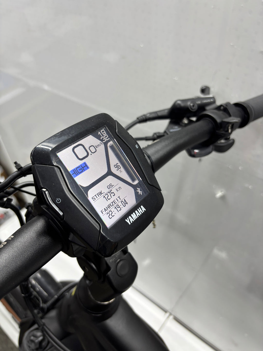 Raymon Mountainbike E-Bike