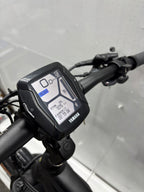 Raymon Mountainbike E-Bike