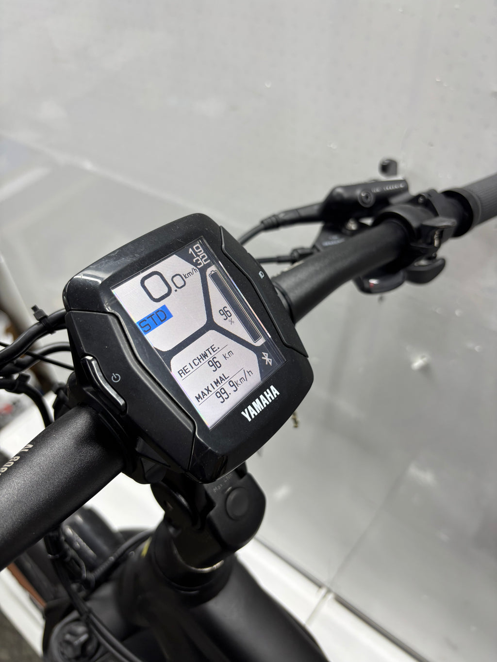 Raymon Mountainbike E-Bike