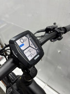 Raymon Mountainbike E-Bike