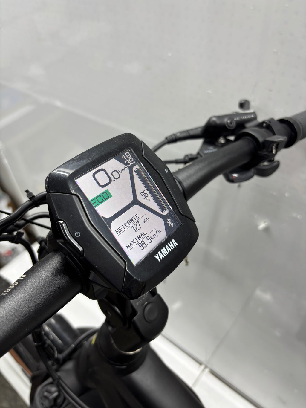 Raymon Mountainbike E-Bike