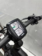 Raymon Mountainbike E-Bike