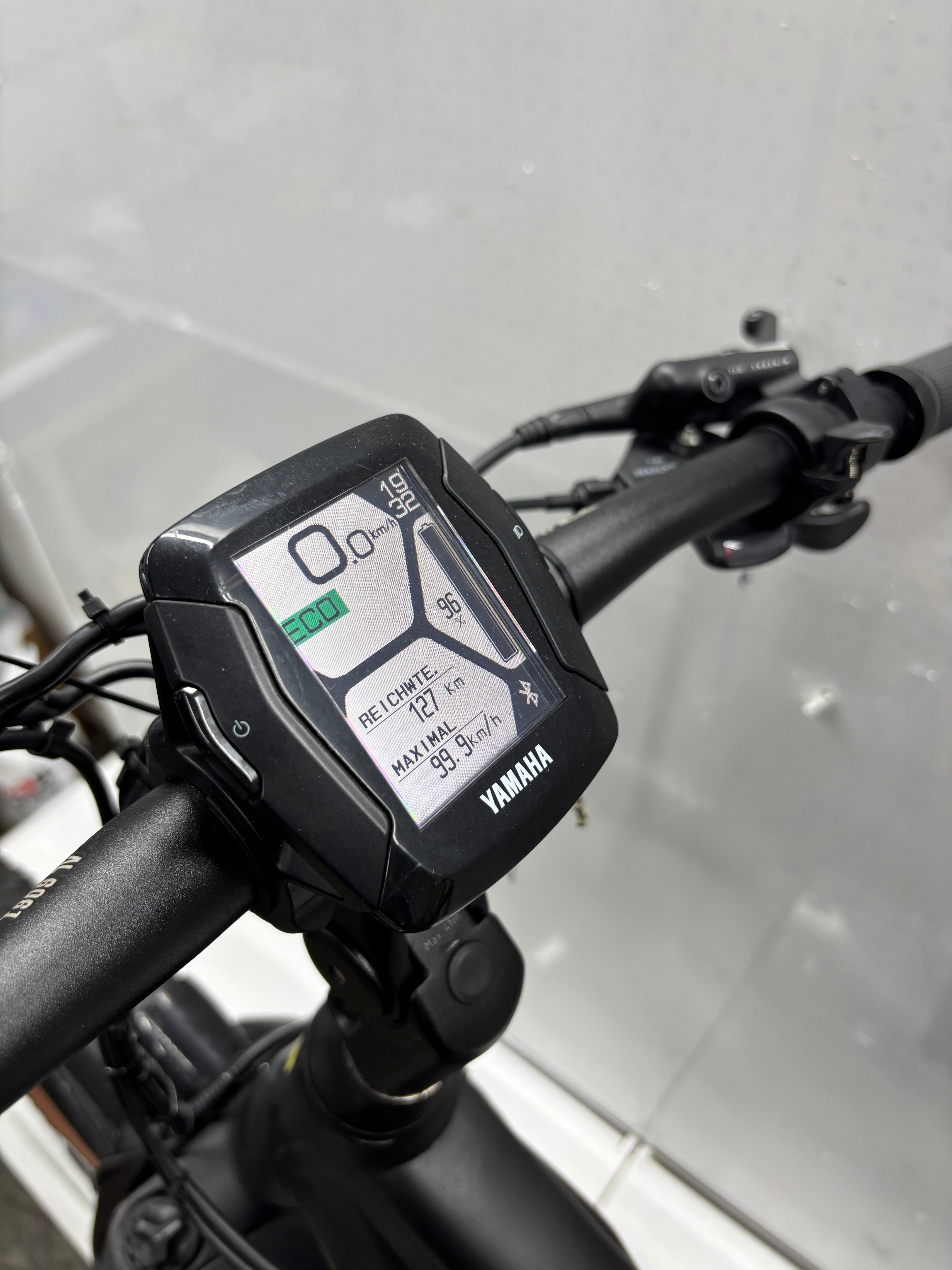 Raymon Mountainbike E-Bike