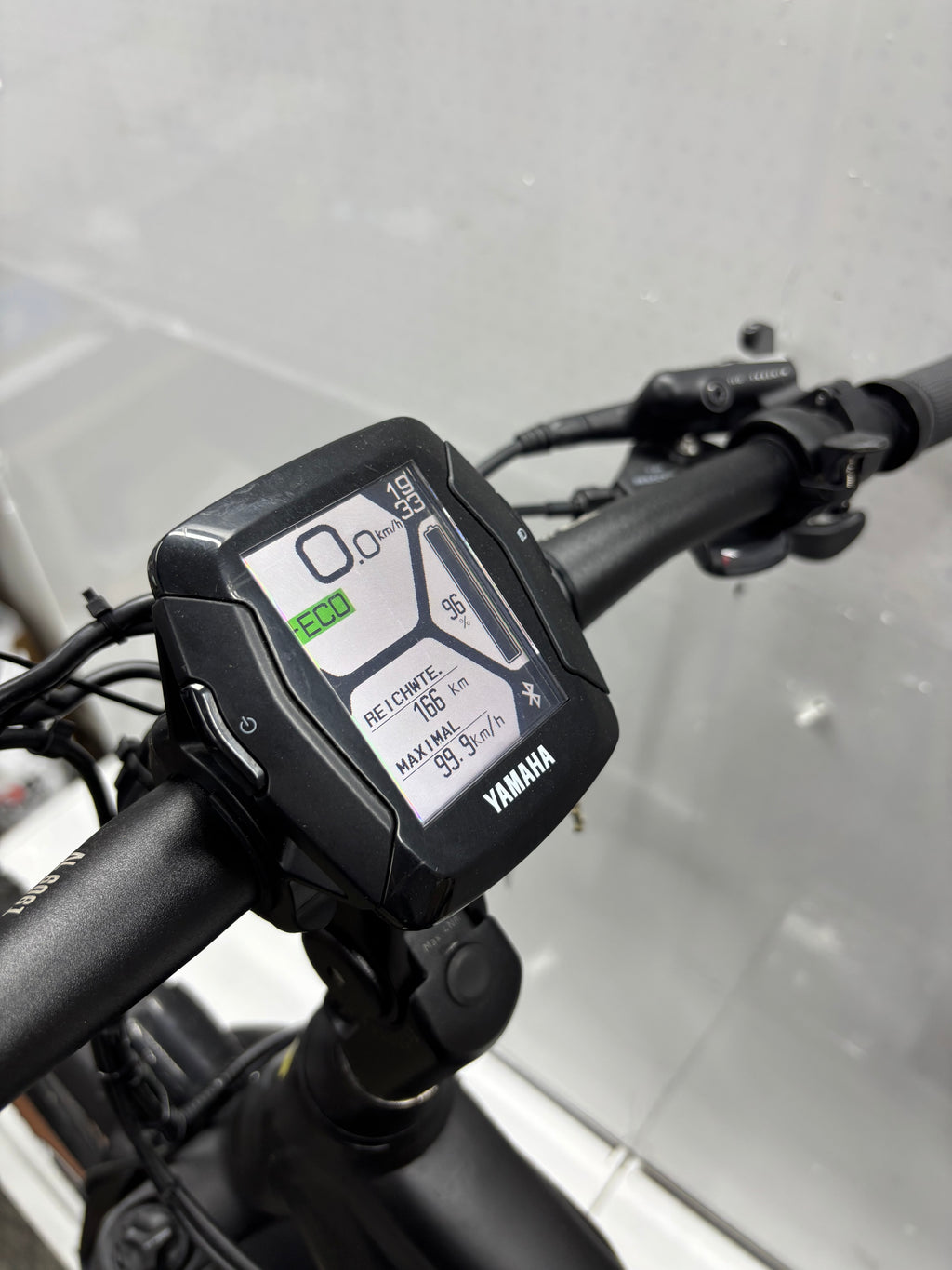 Raymon Mountainbike E-Bike