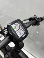 Raymon Mountainbike E-Bike