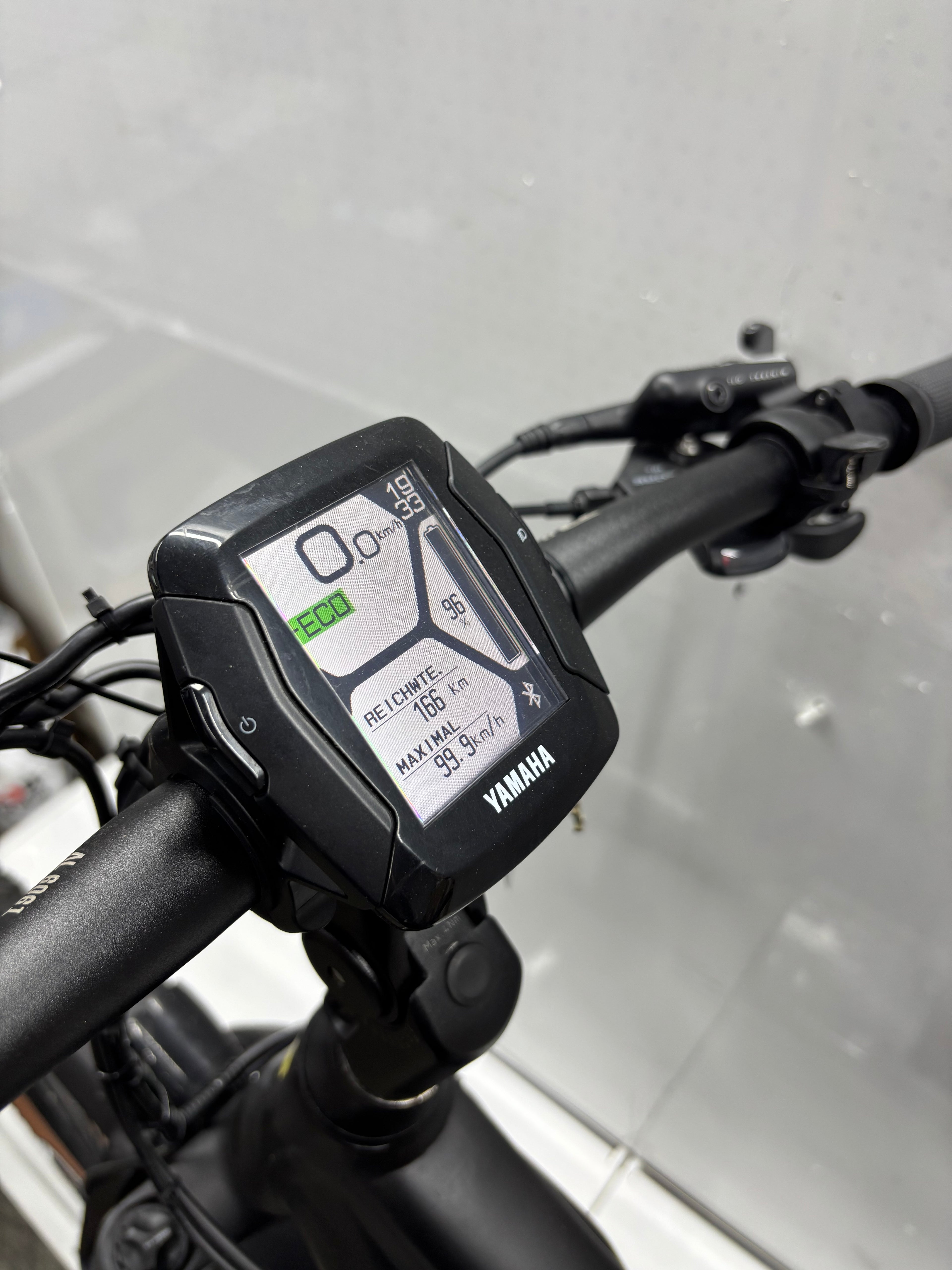 Raymon Mountainbike E-Bike