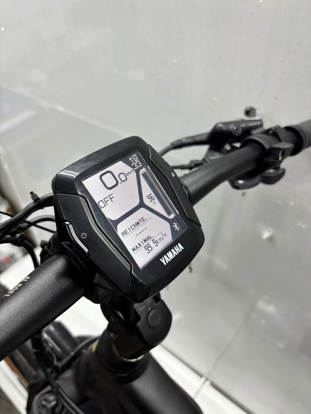 Raymon Mountainbike E-Bike