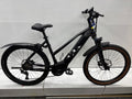 Raymon Mountainbike E-Bike