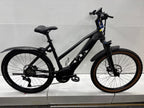 Raymon Mountainbike E-Bike