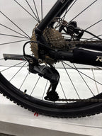 Raymon Mountainbike E-Bike