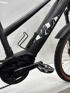 Raymon Mountainbike E-Bike