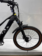 Raymon Mountainbike E-Bike