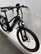Raymon Mountainbike E-Bike
