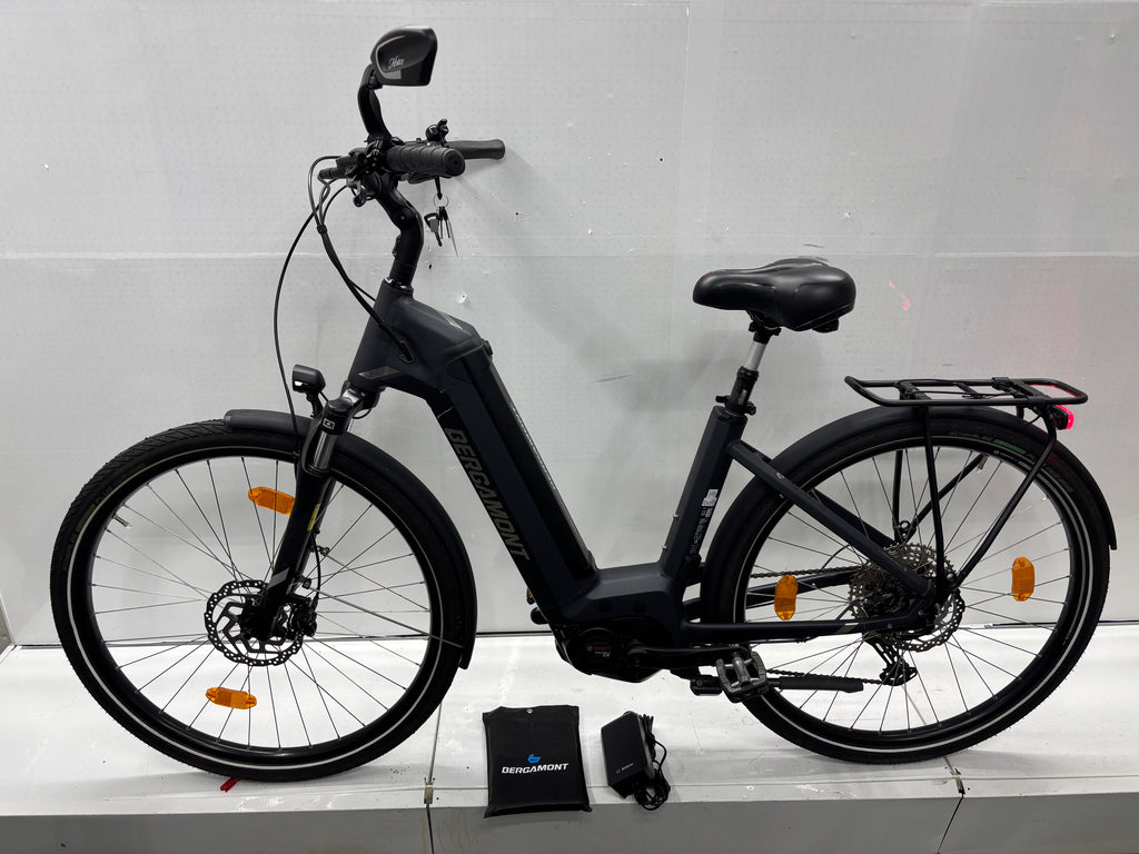 Bergamont E-Horizon Expert