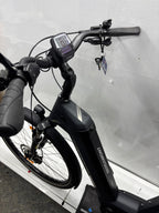 Bergamont E-Horizon Expert
