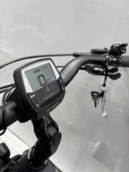 Bergamont E-Horizon Expert