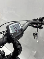 Bergamont E-Horizon Expert