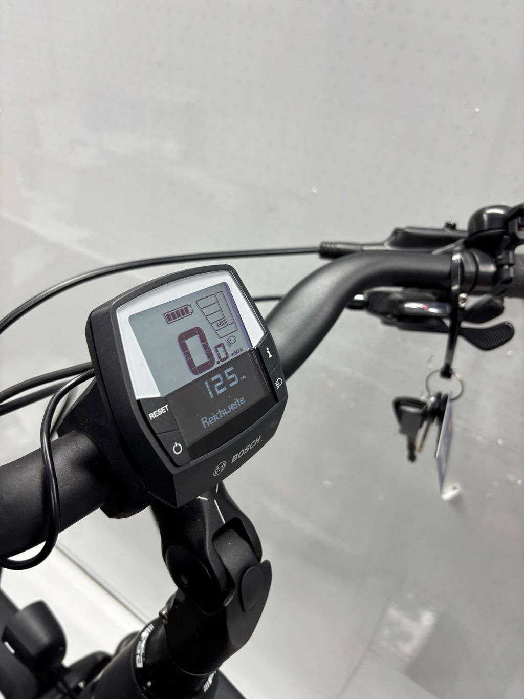 Bergamont E-Horizon Expert