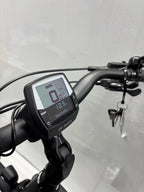 Bergamont E-Horizon Expert