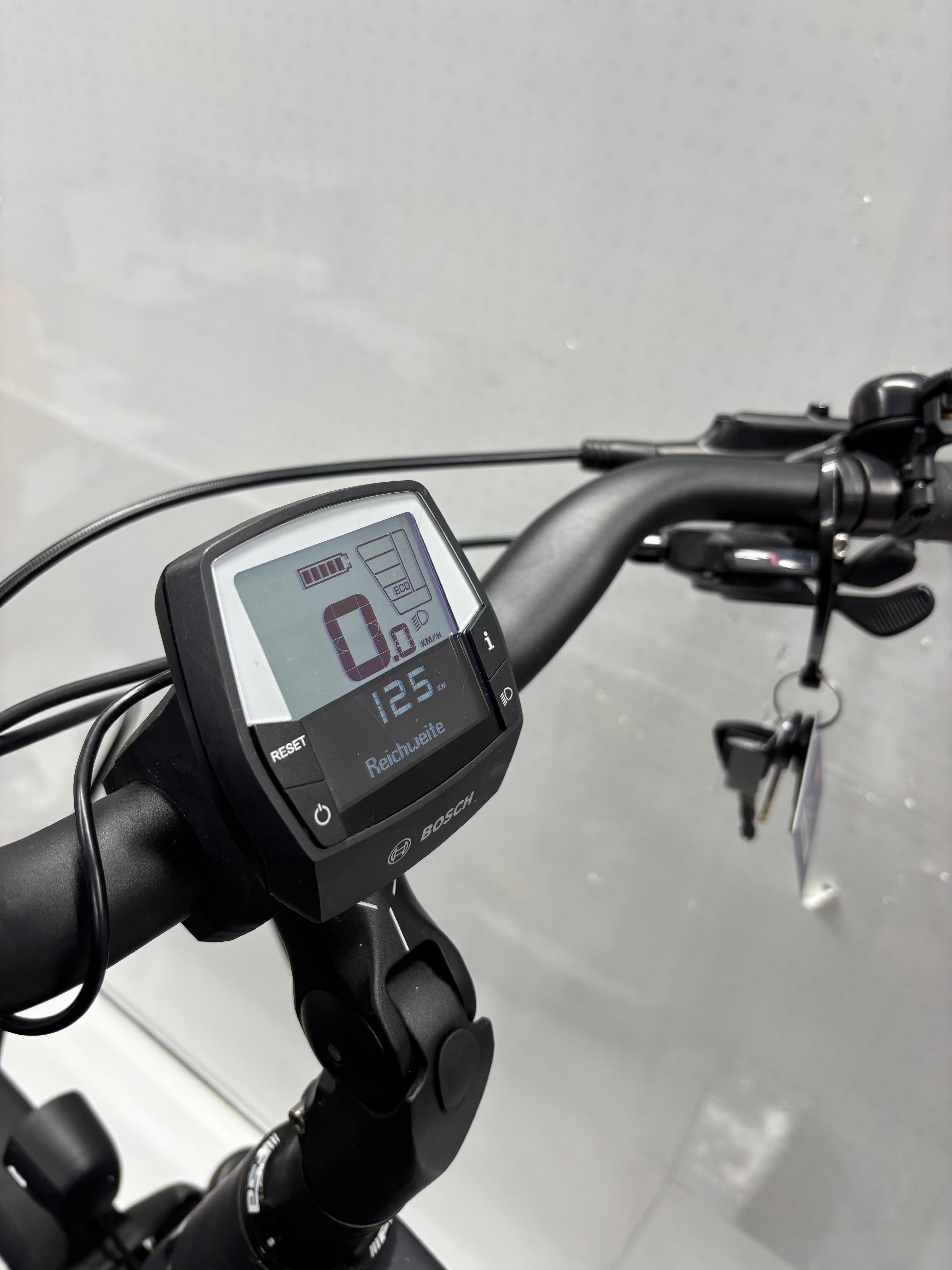 Bergamont E-Horizon Expert