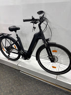 Bergamont E-Horizon Expert