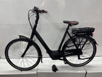 Gazelle Orange C8