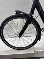 Gazelle Orange C8