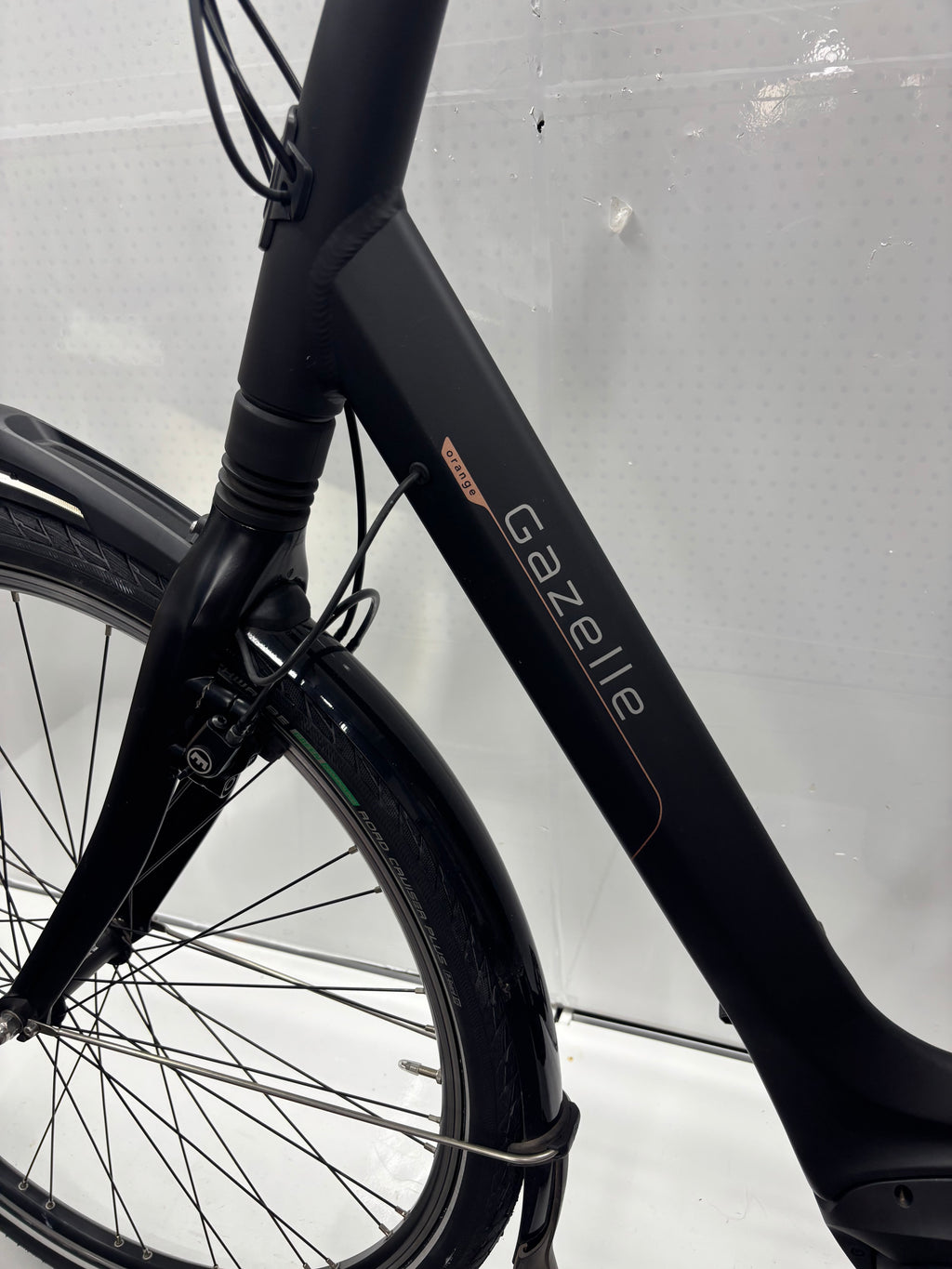 Gazelle Orange C8
