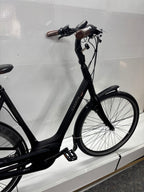 Gazelle Orange C8