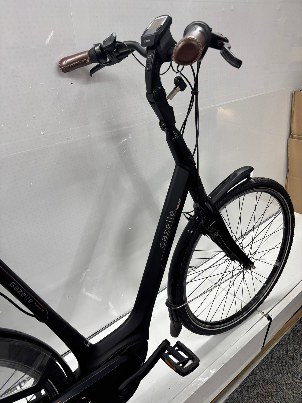Gazelle Orange C8