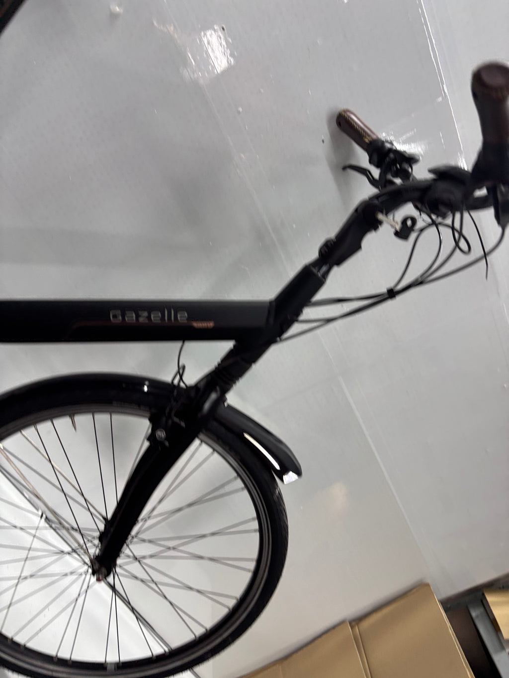 Gazelle Orange C8