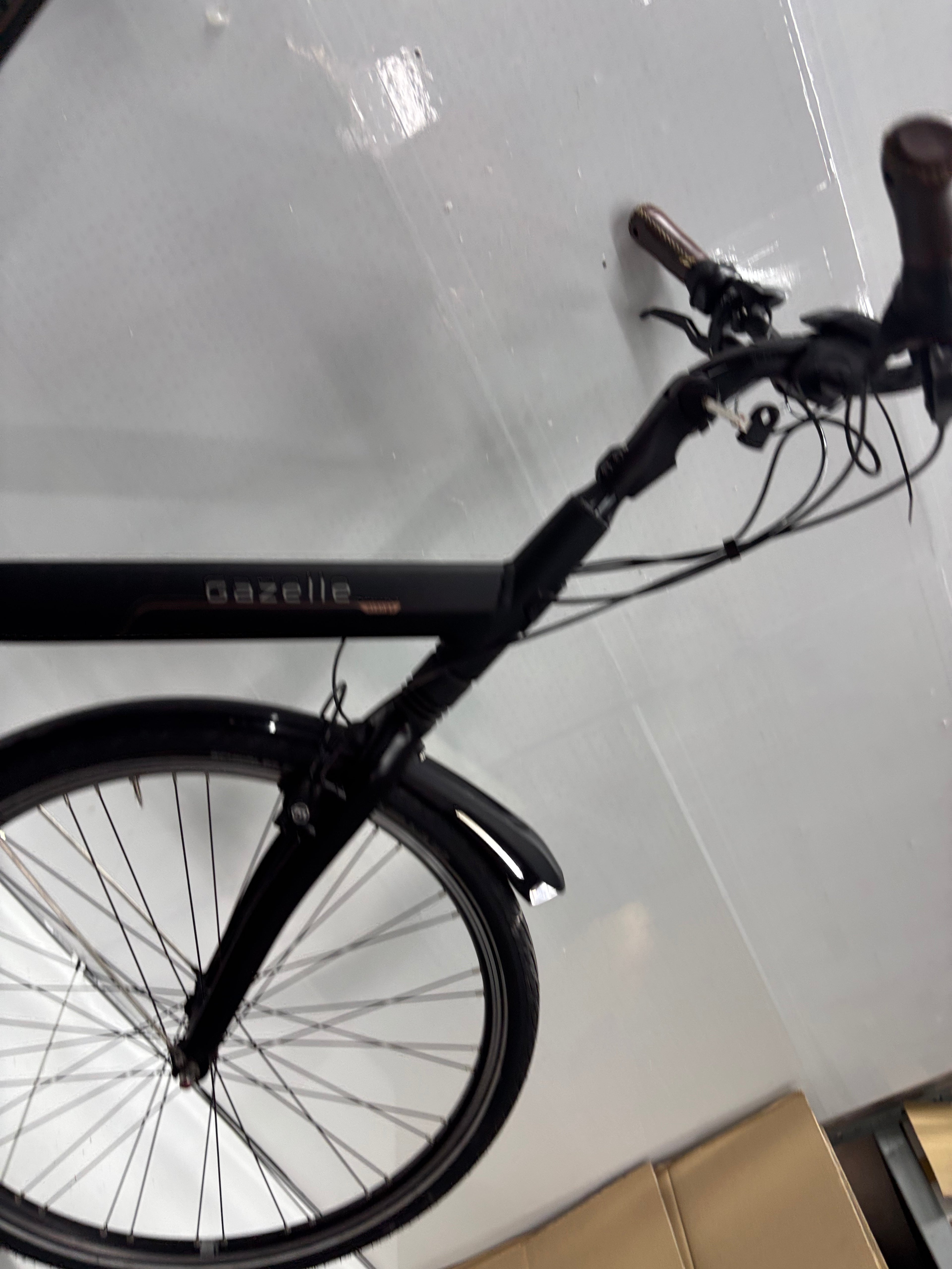 Gazelle Orange C8