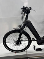 Raleigh Kent 10
