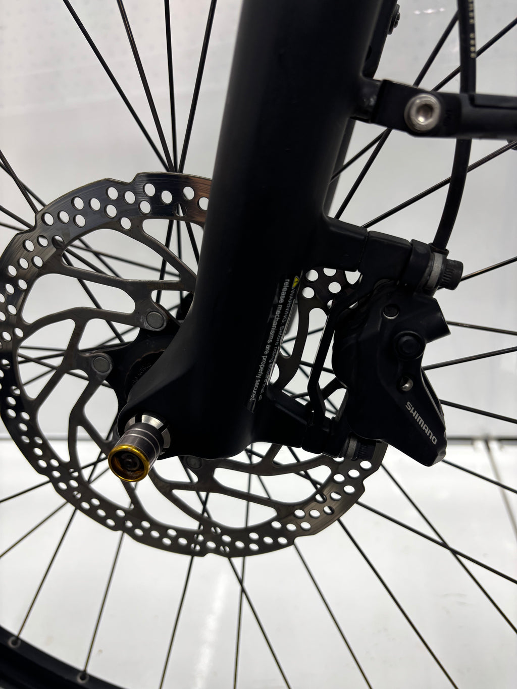 Raleigh Kent 10