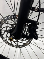 Raleigh Kent 10