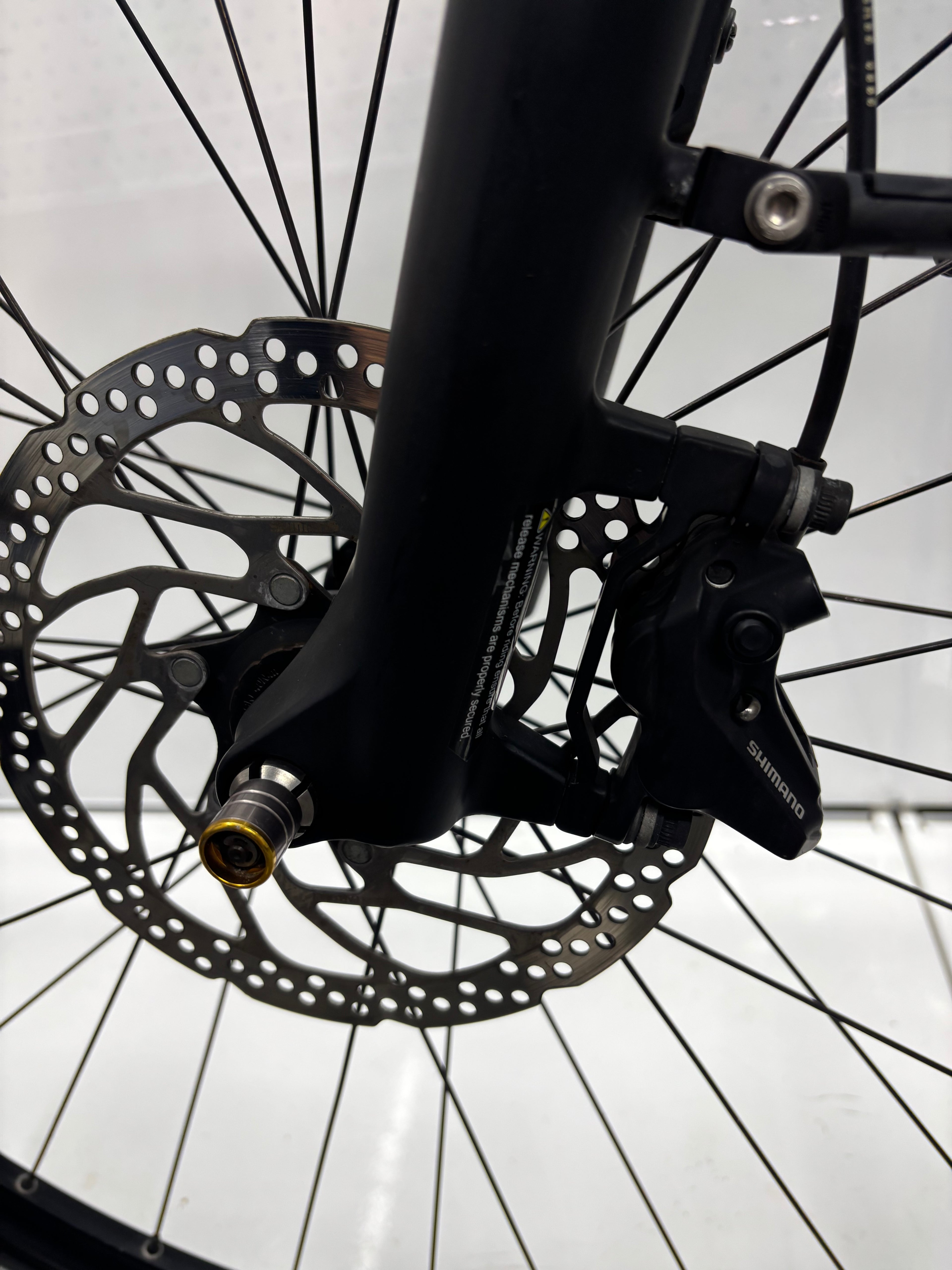 Raleigh Kent 10