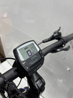 Raleigh Kent 10