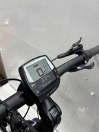 Raleigh Kent 10