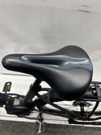 Raleigh Kent 10