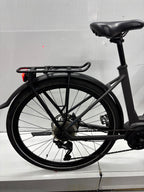 Raleigh Kent 10