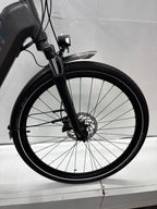 Raleigh Kent 10