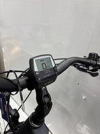 Bergamont E-Horizont Expert, keine 300 KM