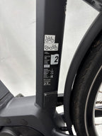 Bergamont E-Horizont Expert, keine 300 KM